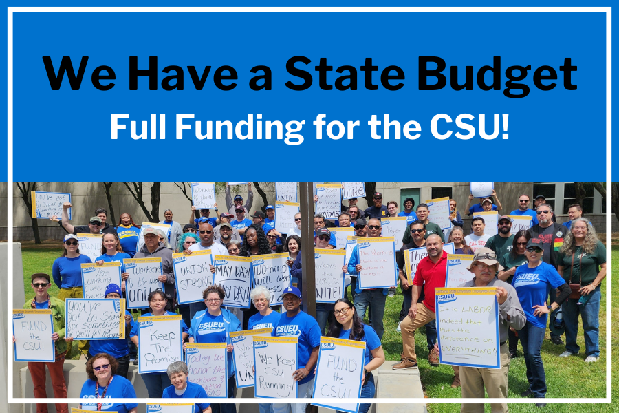 CA budget 25june WEB.png